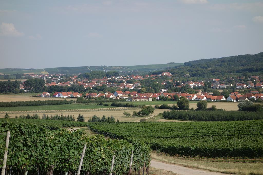 Antjes Ferienwohnung Flonheim Rum bild