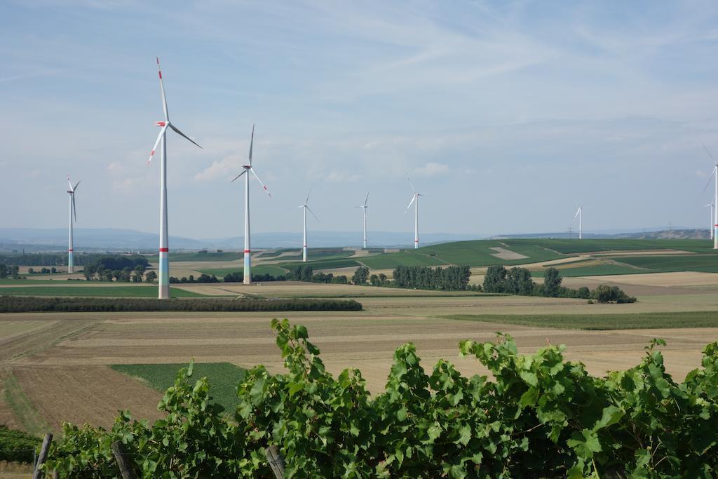 Antjes Ferienwohnung Flonheim Rum bild