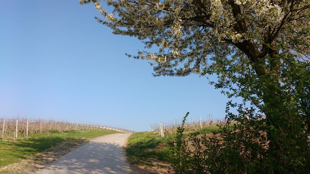 Antjes Ferienwohnung Flonheim Exteriör bild